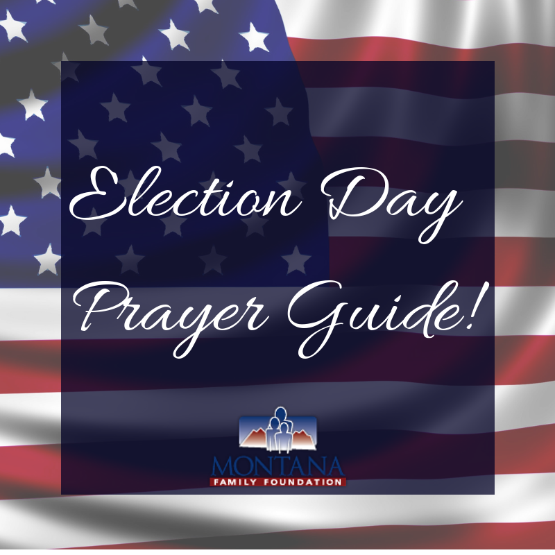 14 Day Election Prayer Guide